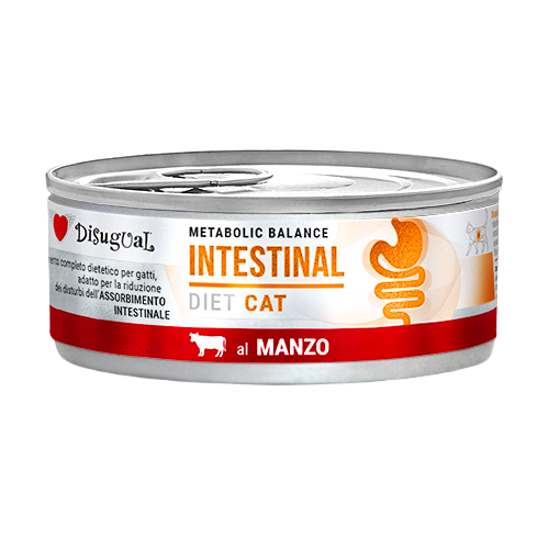DISUGUAL Lata Gastro Intestinal para gatos
