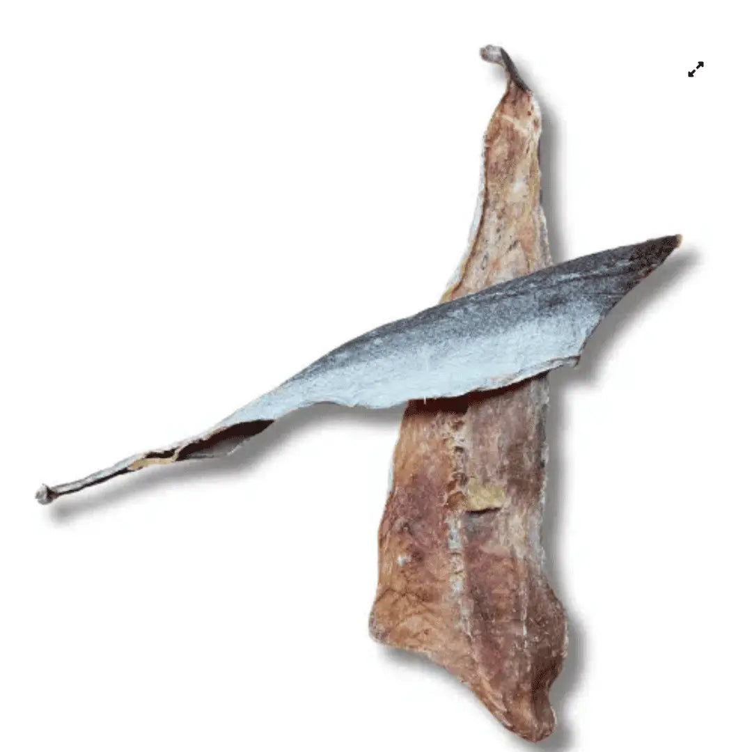 Filete de merluza, snack natural para perros