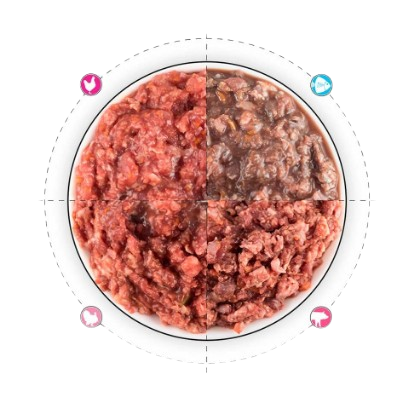 Pack Iniciación Dieta BARF 4 tipos de Nutricione. Menús monoproteicos de pescado (boquerón y pavo), pollo, pavo y cerdo, ideal para perros con alergias e intolerancias. Descubre más beneficios de la alimentación natural en Shop Animal Spirit