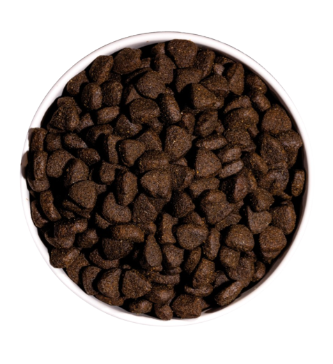 Ownat Grain free salmón contiene un aporte extra de omega 3 para mejorar su sistema inmune y mantener una piel sana y un pelo más brillante y sedoso. Sin cereales