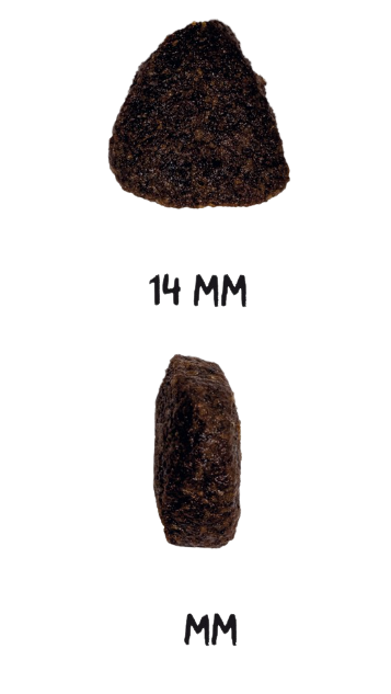 Ownat Grain free salmón contiene un aporte extra de omega 3 para mejorar su sistema inmune y mantener una piel sana y un pelo más brillante y sedoso. Sin cereales