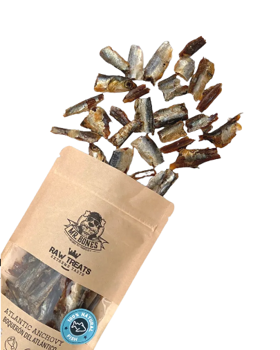Los Raw Treats de Boquerón del Atlántico de Mr Bones son un snack 100% natural ideal para perros y gatos por su aporte de Omega 3 que ayuda a mejorar la salud de su piel y pelo, es antiinflamatorio y mejora la salud cardiovascular. Elaborado con boquerones aptos para consumo humano. Sin cereales, aditivos ni conservantes. Apto para perros y gatos. Descubre más en Shop Animal Spirit