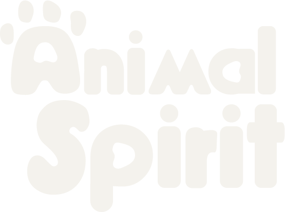Shop Animal Spirit 