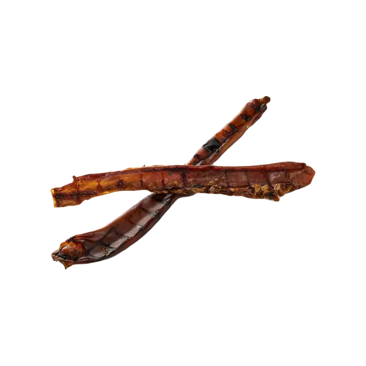 Aorta de caballo XL