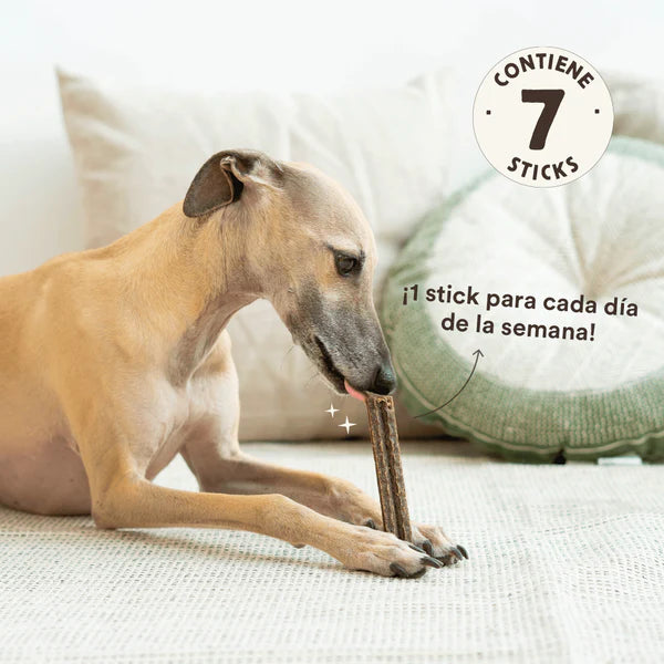 Stick dental Fuera Placa - Wild Balance