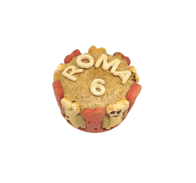 ENVÍO GRATIS ¡Celebra el cumpleaños de tu mejor amigo con nuestra deliciosa tarta para perros! En nuestra tienda de alimentación animal, elaborada con ingredientes naturales de consumo humano y sin aditivos, ¡que disfrute de su día! Shop Animal Spirit, en La Puebla de Montalbán (Toledo) con envíos a domicilio.
