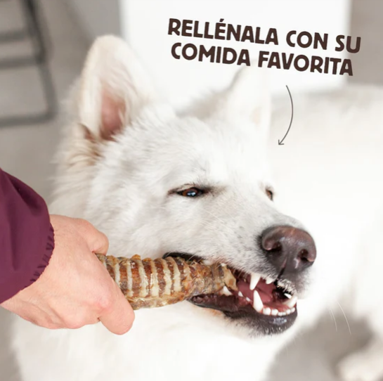 Tráqueas de ternera - Wild Balance