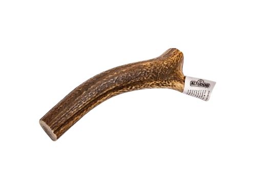Las astas de ciervo son un mordedor para perros 100%natural que ayudan a eliminar y prevenir el sarro además de como entretenimiento. Descubre más en Shop Animal Spirit