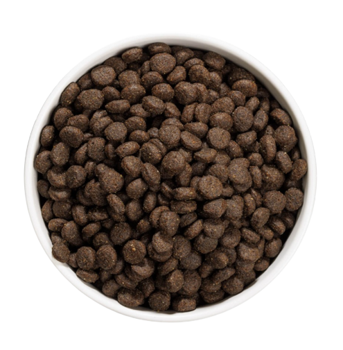 Ownat grain free junior es un pienso completo y equilibrado sin cereales para cachorros, desde el destete hasta terminar la fase de su crecimiento. Descubre más en Shop Animal Spirit