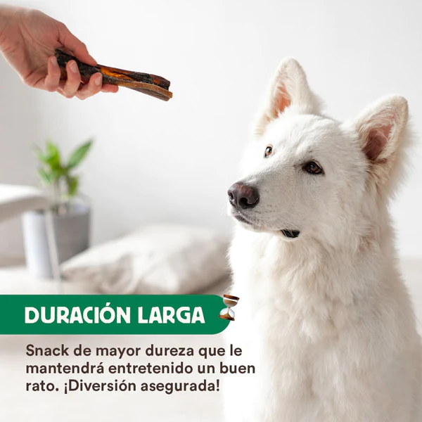 La caravaca de camello es un snack natural de dureza alta ideal para perros con alergias. Descubre más en Shop Animal Spirit
