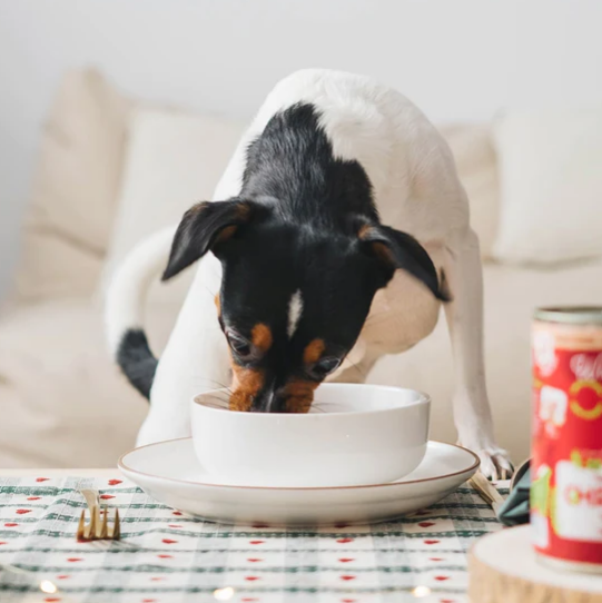 Los menús cocinados al vapor de Wild Balance especial Navidad son una receta perfecta para estos días tan especiales para nuestros perros. Está hecho con carne de ciervo, conejo y verduras de la más alta calidad. Descubre más en Shop Animal Spirit.