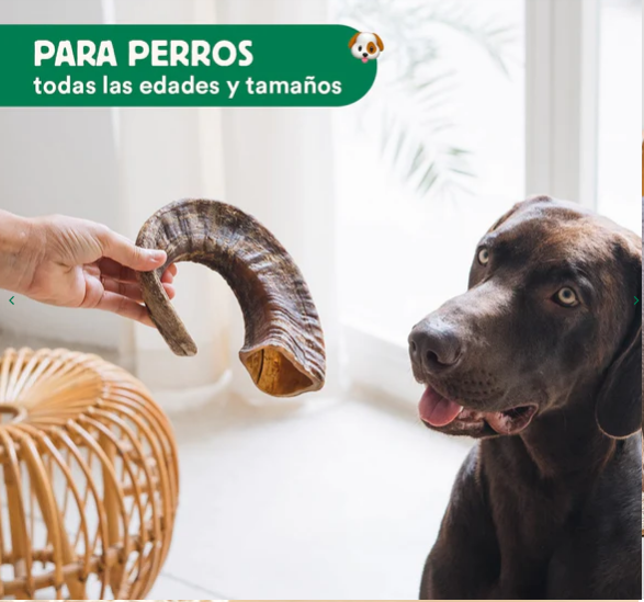 Los cuernos de cabra de Wild Balance son un mordedor 100%natural ideal para prevenir y eliminar el sarro de nuestros perros. Sirven como entretenimiento y reducen el estrés. Descubre más productos en Shop Animal Spirit.
