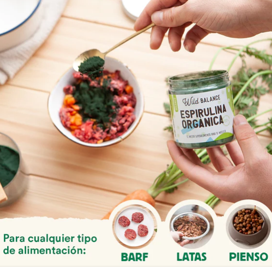 La espirulina es un suplemento 100% natural para perros y gatos que ayuda a reforzar el sistema inmunitario, mejora la salud gastrointestinal y digestiva, es un poderoso antioxidante y antiinflamatorio y se considera un superalimento. Descubre más en Shop Animal Spirit