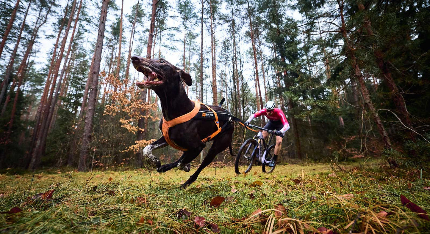 Non Stop Dogwear - Arnés Freemotion 5.0