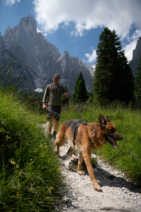 Non Stop Dogwear - Line Harness Grip