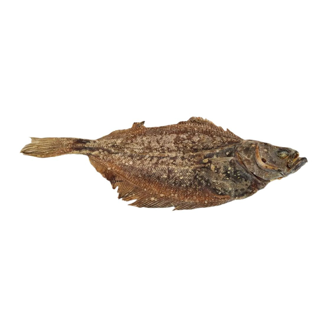 snack natural de pescado para perros, pez plano 50cm