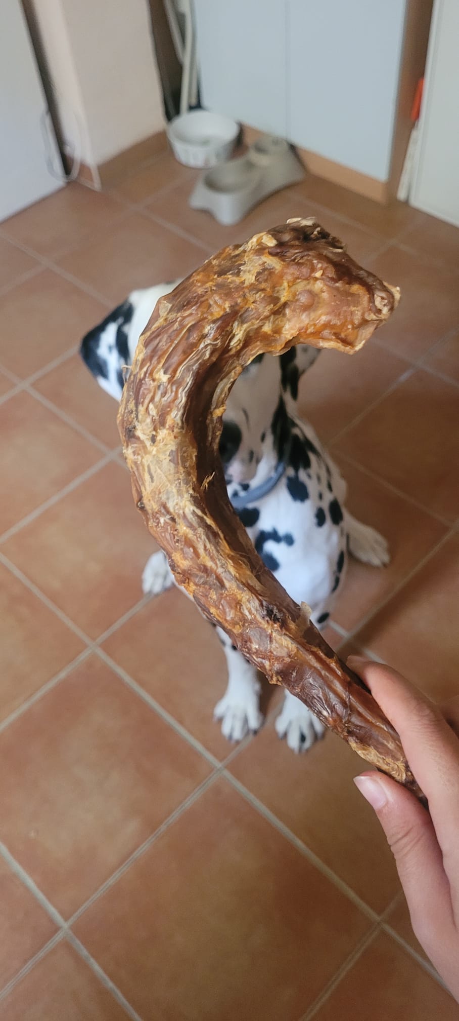 Cuello de ganso 20-30cm
