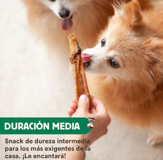 Las tráqueas de cordero son un snack ideal para perros pequeños y aptos para cualquier otro tamaño. Son un gran entretenimiento, reducen el estrés, eliminan y previenen el sarro y el mal aliento y aportan glucosamina y condroitina para mejorar la salud de las articulaciones. Dureza media. Descubre más productos de Wild Balance en Shop Animal Spirit