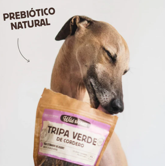 La tripa verde de cordero de Wild Balance es un snack natural ideal para perros con alergias o estómagos sensibles. Son un prebiótico natural y son altas en fibra. Descubre más productos en Shop Animal Spirit, en La Puebla de Montalban (Toledo). Hacemos envíos a domicilio.