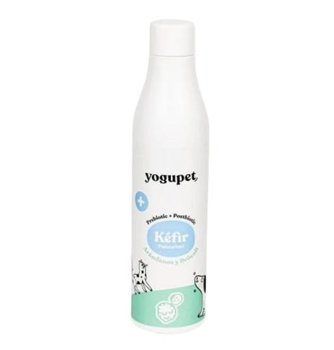 Kéfir Digestivo Arándanos y brócoli - Yogupet