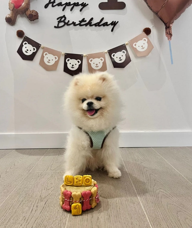 Tartas para perros: Celebra el cumpleaños de tu mejor amigo