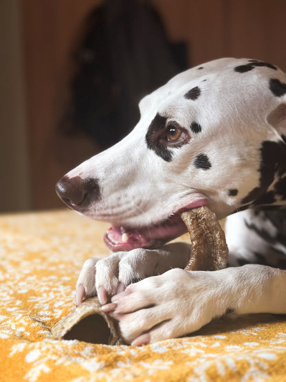 Cuerno de oveja L-XL 200g