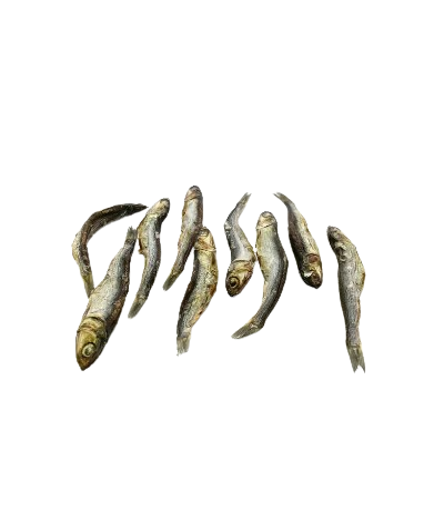 Los boquerones del Atlántico de Mr Bones son aptos para consumo humano. Ideales para perros y gatos de cualquier edad y tamaño, muy fáciles de masticar y digerir. Aportan una gran cantidad de Omega 3 que ayudará a la salud de la piel y el pelo y reforzará su sistema inmune. Descubre más en Shop Animal Spirit