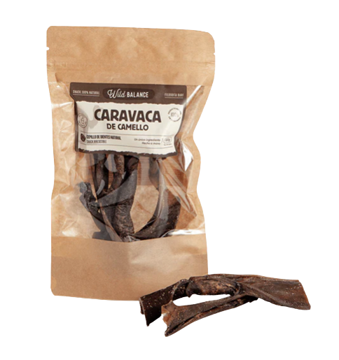 La caravaca de camello es un snack natural de dureza alta ideal para perros con alergias. Descubre más en Shop Animal Spirit