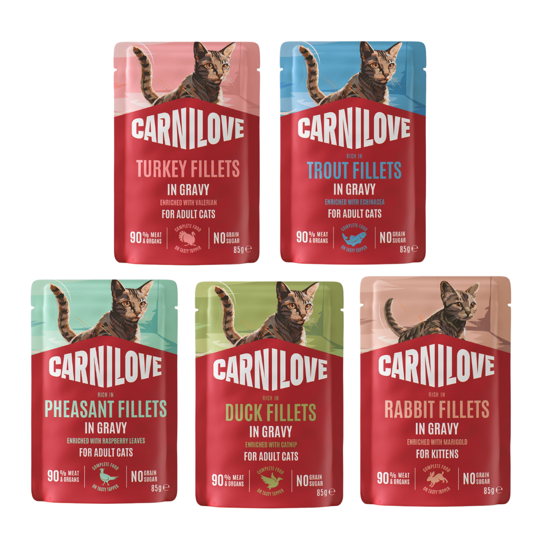 CARNILOVE Pouch Fillets en Salsa Gatos
