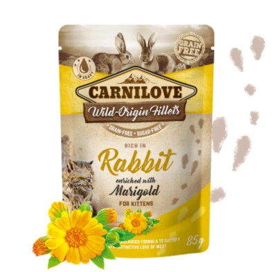 CARNILOVE Pouch Fillets en Salsa Gatos