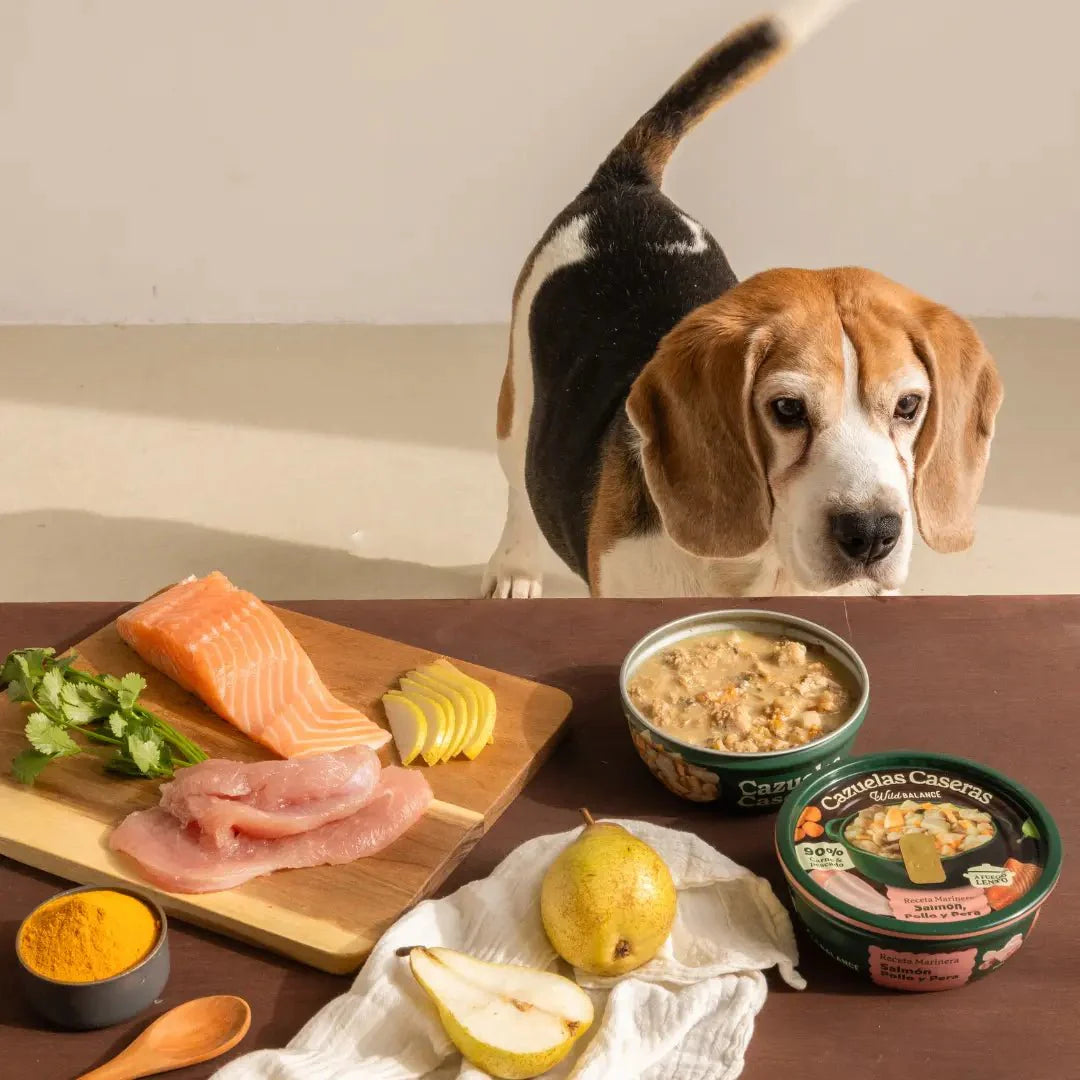 Wild Balance Cazuelas caseras para perros