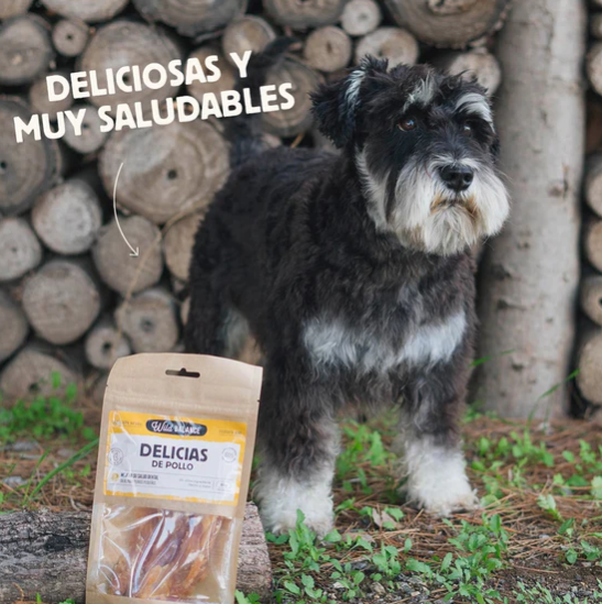 Las delicias de pollo son las chuches perfectas para tu perro o gato. Son trozos de pollo deshidratado, siendo un snack natural muy bajo en grasas, perfecto para alergias. Descubre más productos de Wild Balance en nuestra tienda Shop Animal Spirit, en La Puebla de Montalban (Toledo). Hacemos envíos a domicilio.