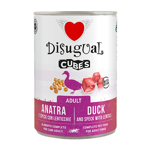 DISUGUAL Lata Cubes para perros