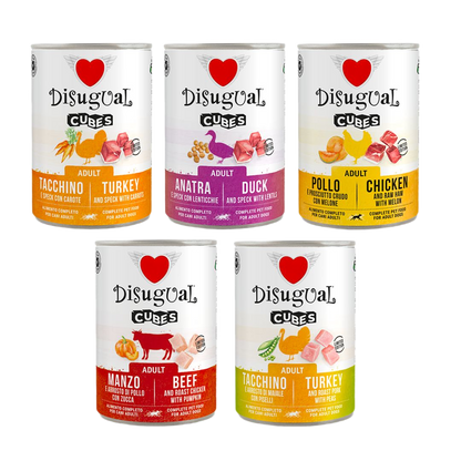 DISUGUAL Lata Cubes para perros