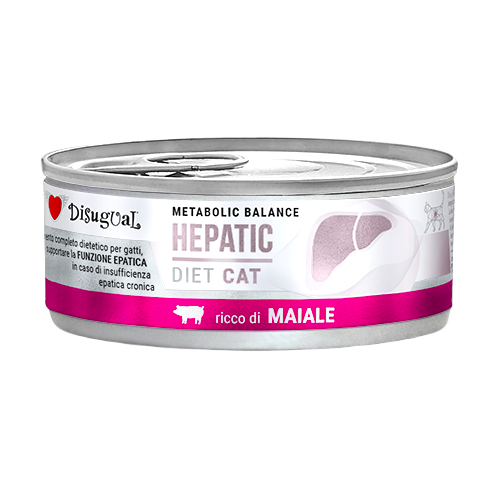 Latas Disugual Hepatic para gatos  de cerdo
