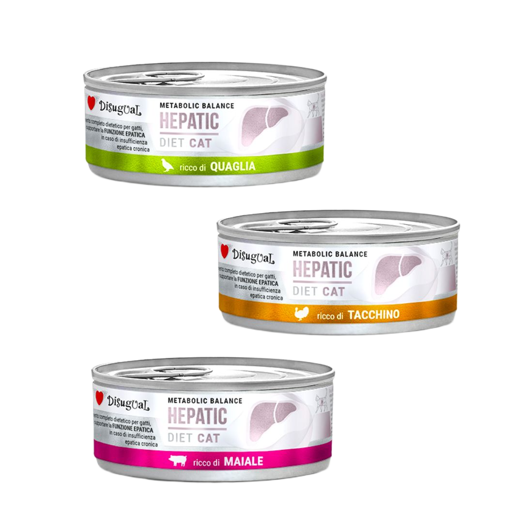 Latas Disugual Hepatic para gatos 