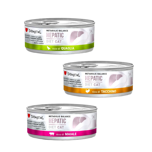 Latas Disugual Hepatic para gatos 