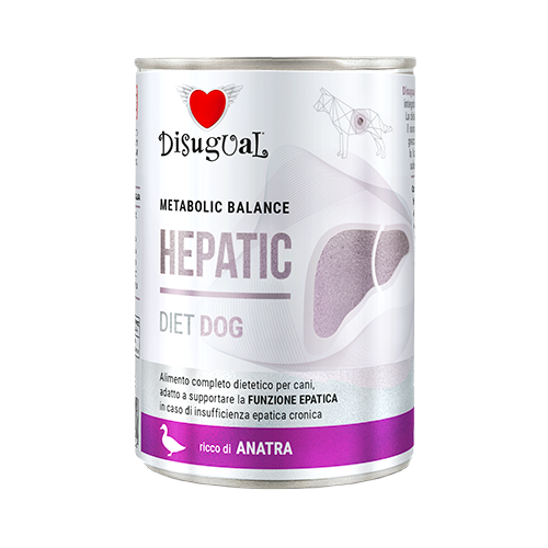 Latas DISUGUAL Hepatic para perros de pato