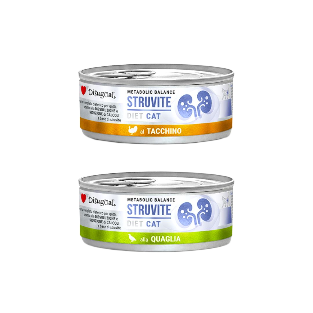 Latas Disugual Struvite para gatos
