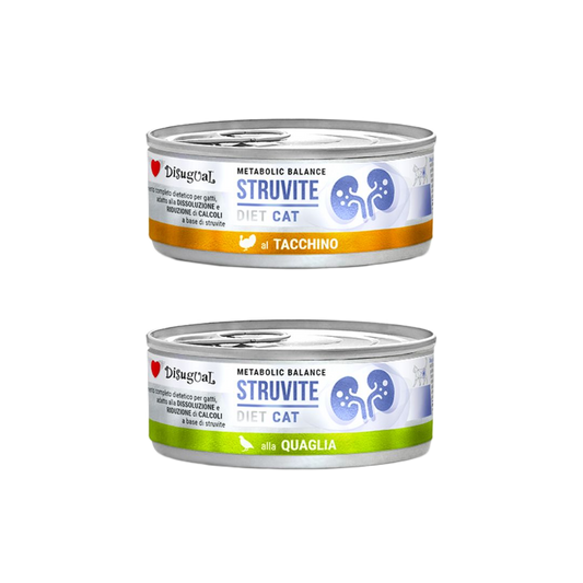 Latas Disugual Struvite para gatos