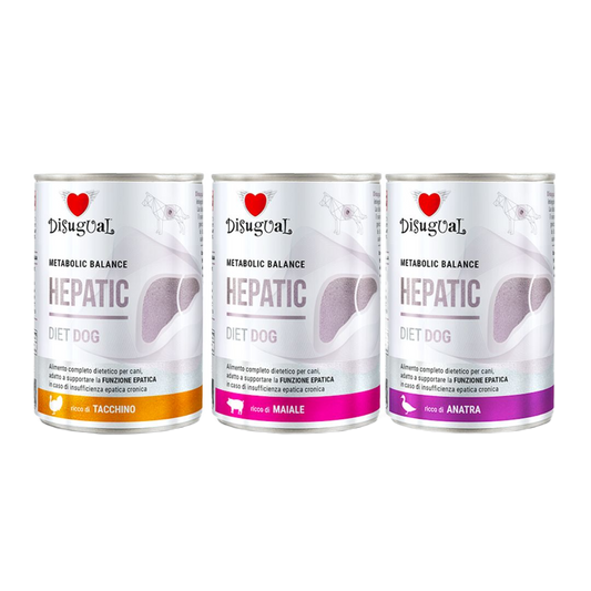 Latas DISUGUAL Hepatic para perros