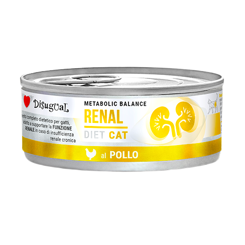 Disugual Lata Renal para gatos de pollo
