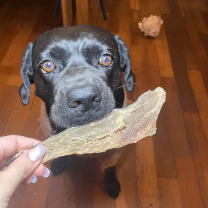 Filete de merluza, snack natural para perros