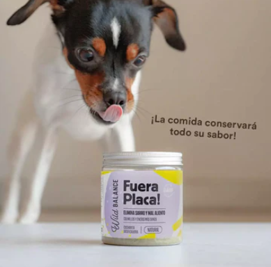 FUERA PLACA! es un suplemento natural a base de algas marinas que ayuda a mantener una higiene bucal saludable, tanto de dientes como de encías. Este suplemento antisarro ayuda a reducir y/o eliminar la placa bacteriana y mejora el mal aliento.. Descubre más en Shop Animal Spirit.