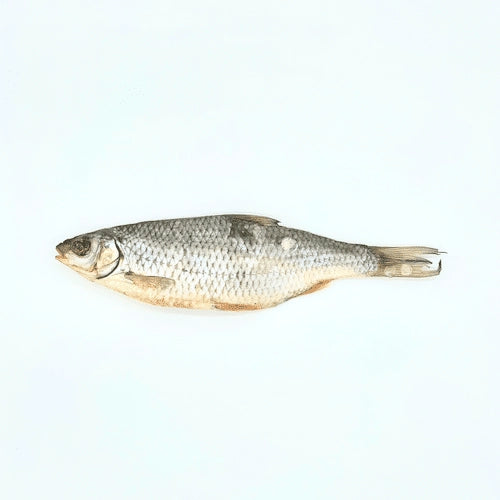 Gardons, snack natural de pescado para perros y gatos