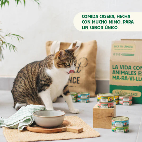 Wild Balance - Lata Ragut tradicional Ternera y Pollo