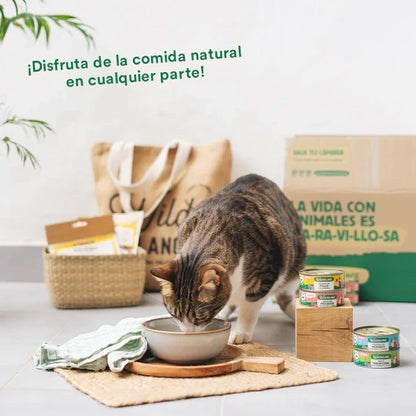Wild Balance - Lata Ragut tradicional Ternera y Pollo