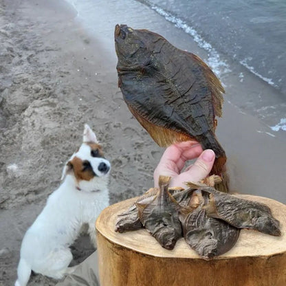 Snack natural platija para perros y gatos (pescado)