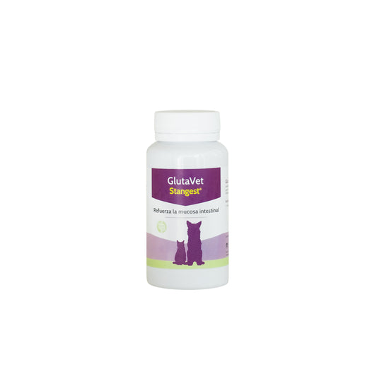 STANGEST Glutavet para Perros y Gatos