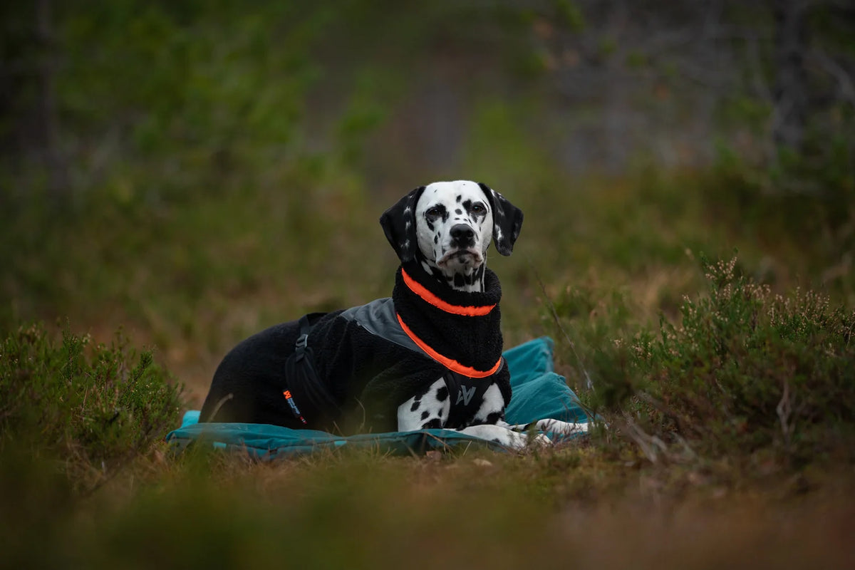 NON STOP DOGWEAR Trekking fleeced dog jacket